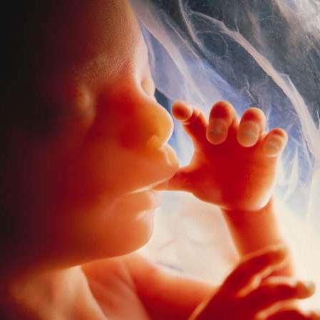 hogyan születik a baba a születés előtt